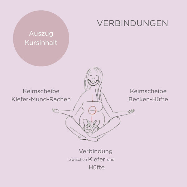 Séminaire « Schwanger in Balance » avec set de Cupping pour sages-femmes